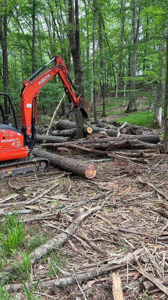 Expert landscape design with custom design in Dahlonega, GA by Amazonia Land Management & Tree Service