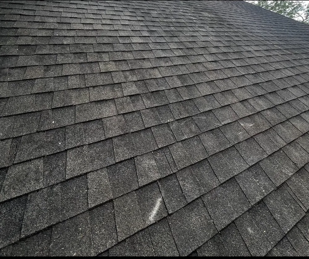 Local outdoor landscaping experts serving Dahlonega, GA - Amazonia Land Management & Tree Service