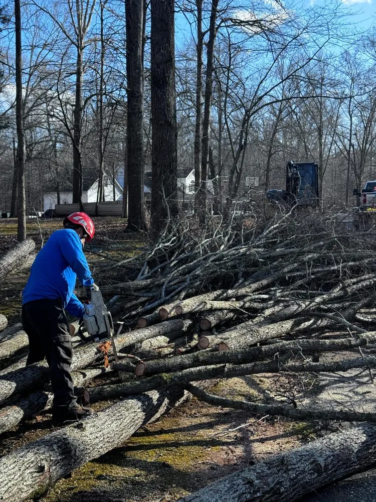Custom landscaping services experts serving Dahlonega, GA - Amazonia Land Management & Tree Service