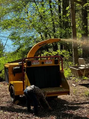 Amazonia Land Management & Tree Service