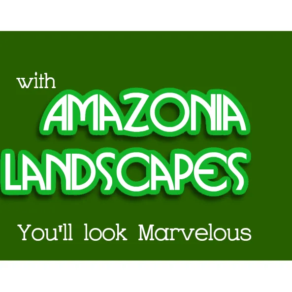 Top-rated landscaping services for beautiful yards across Hidson, MA - Amazonia Landscape