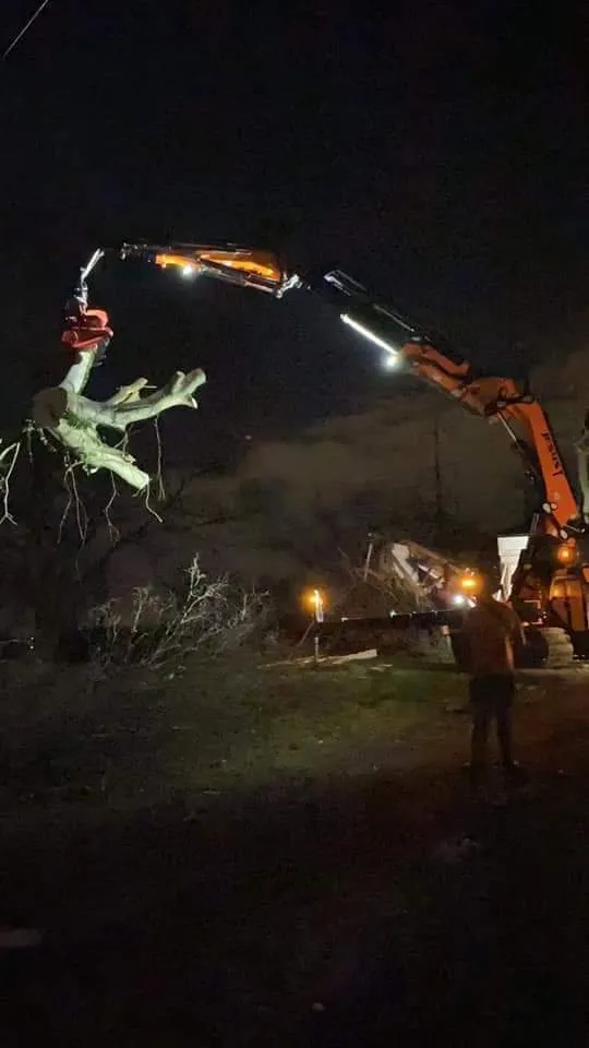 Expert yard maintenance experts serving Orlando, FL - Amazonia Tree Services