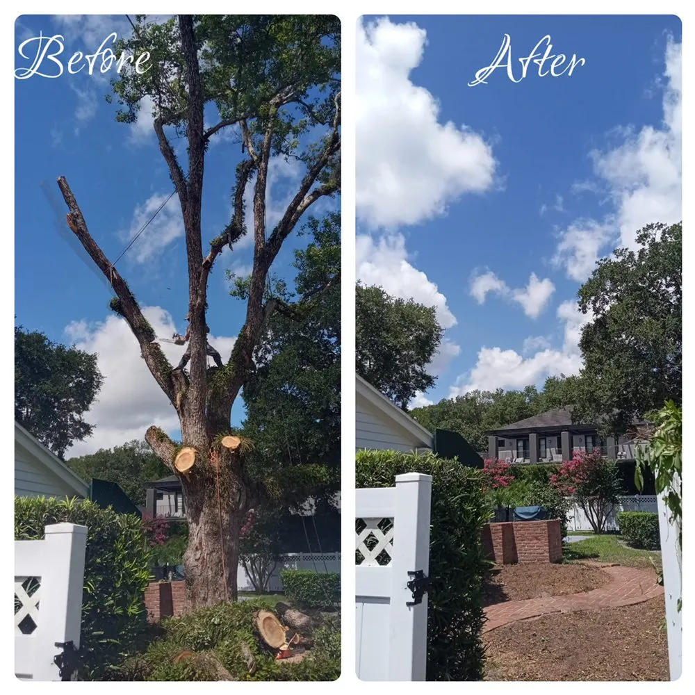 Custom residential landscaping for residential properties across Orlando, FL - Amazonia Tree Services