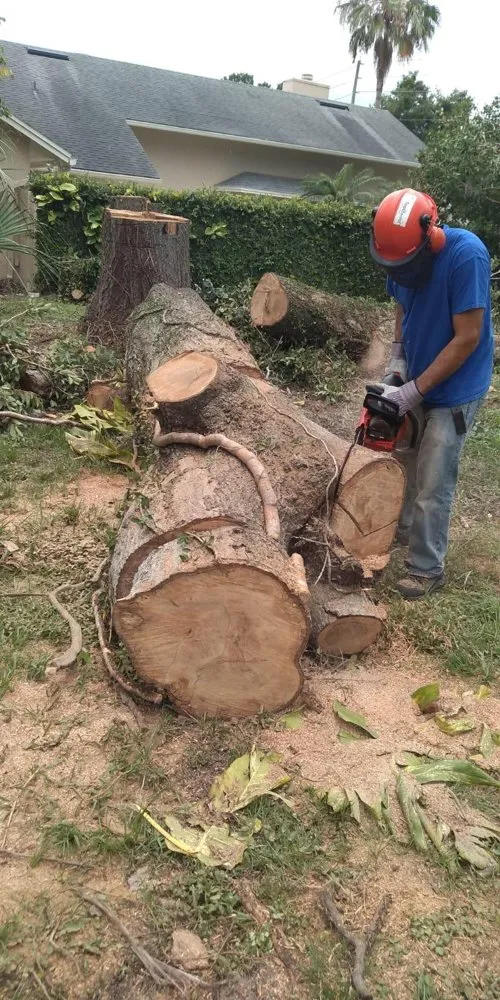 Top-rated landscape design for residential properties in Orlando, FL by Amazonia Tree Services