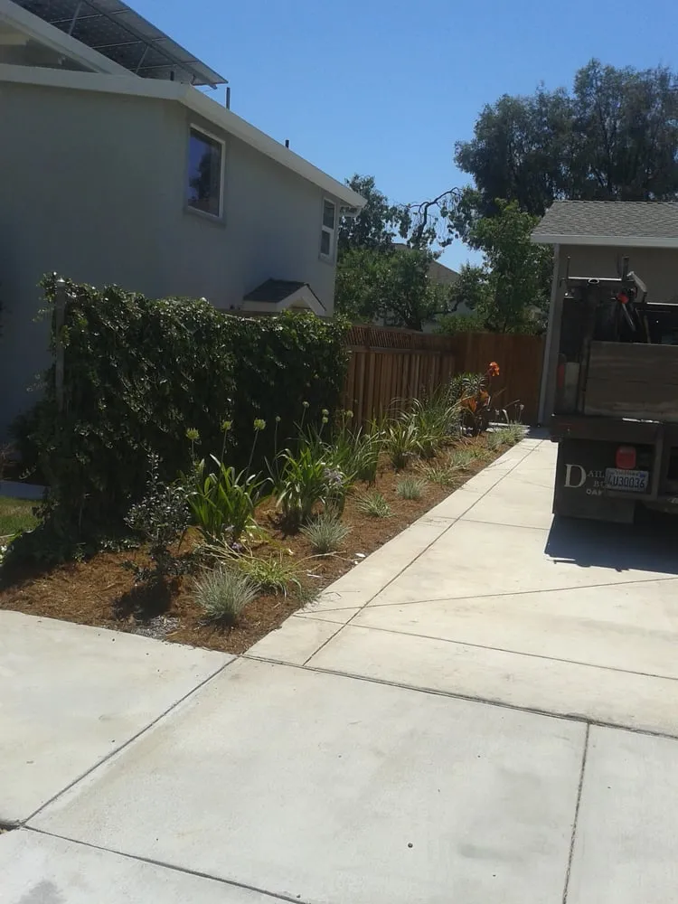 Local landscape installation in Concord, CA - Amazon's Landscaping