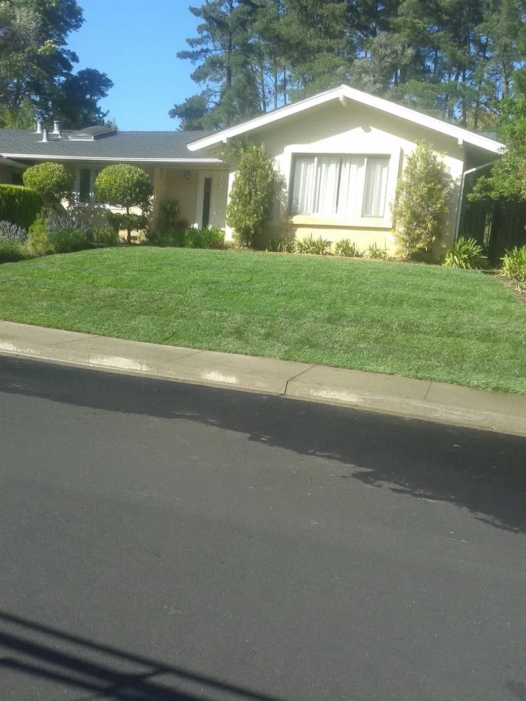 Reliable landscape design near you across Concord, CA - Amazon's Landscaping