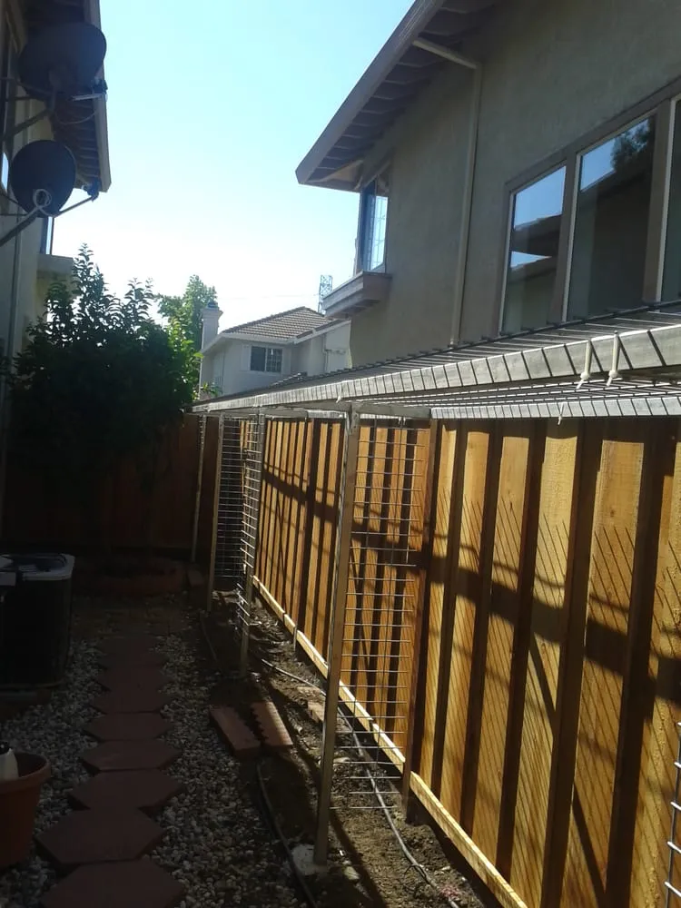 Local lawn care service experts serving Concord, CA - Amazon's Landscaping