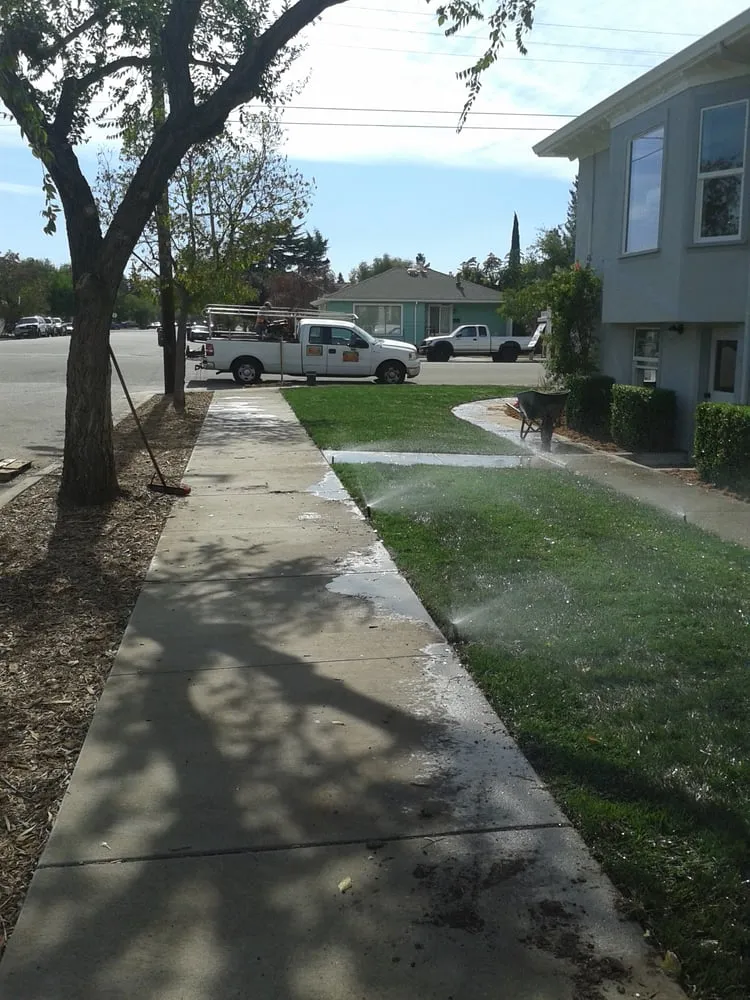 Top-rated landscape design for beautiful yards in Concord, CA by Amazon's Landscaping