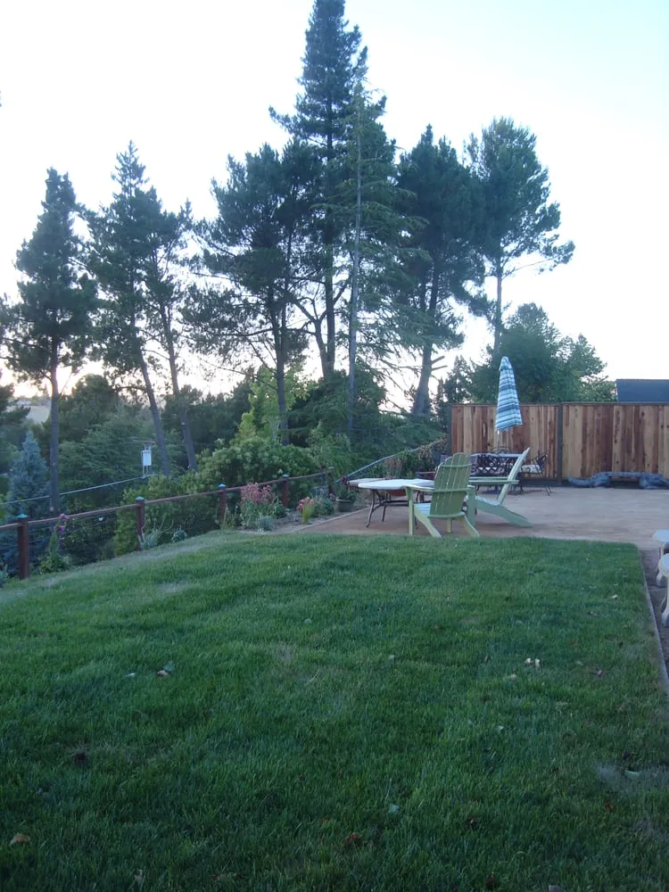 Affordable residential landscaping with custom design across Concord, CA - Amazon's Landscaping