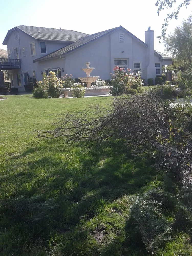 Professional yard maintenance with custom design in Concord, CA by Amazon's Landscaping