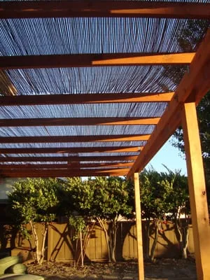 Amazon's Landscaping Logo