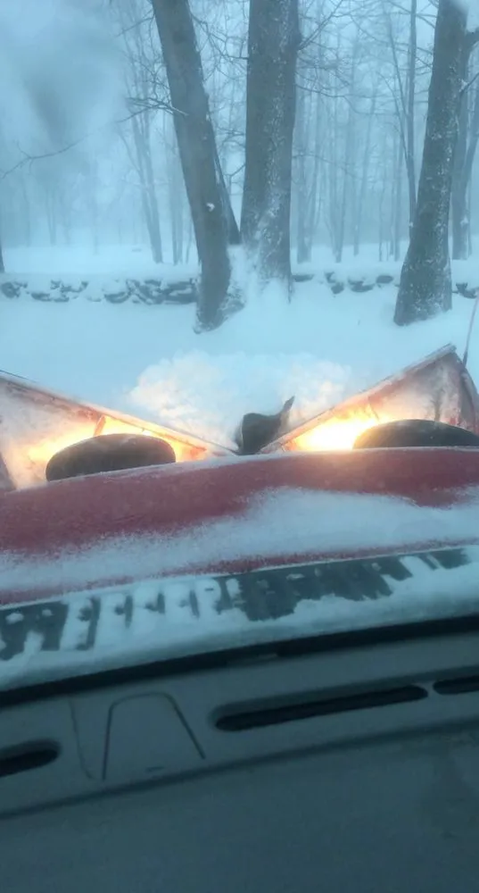 Professional landscape installation in Clarence, NY - AMB Property Maintenance