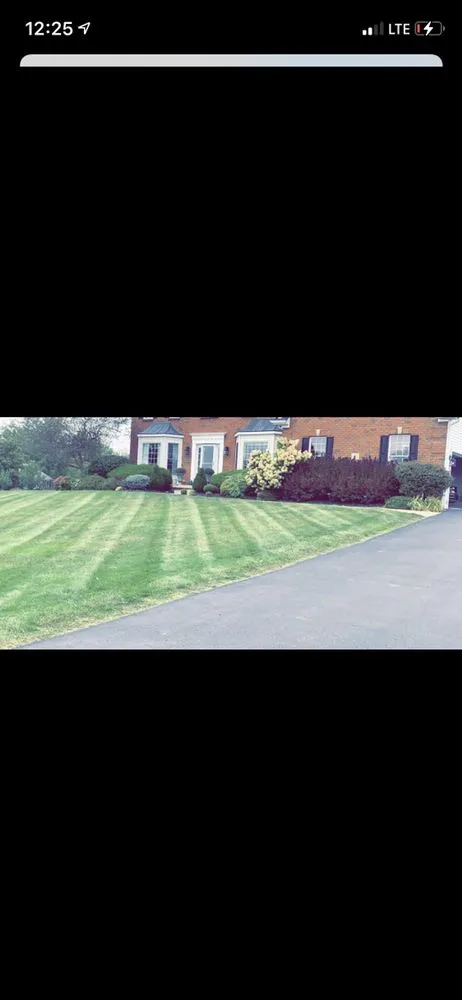 Custom yard cleanup service for outdoor upgrades in Clarence, NY by AMB Property Maintenance