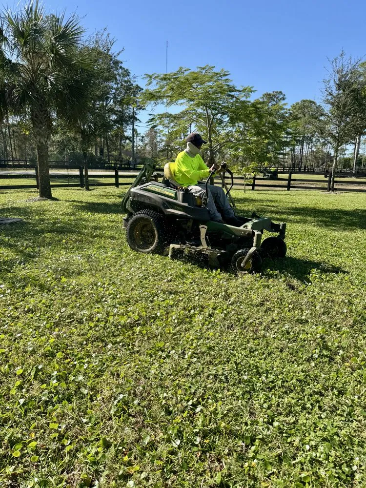Trusted outdoor landscaping experts serving West Palm Beach, FL - Ambassador Lawn & Landscape