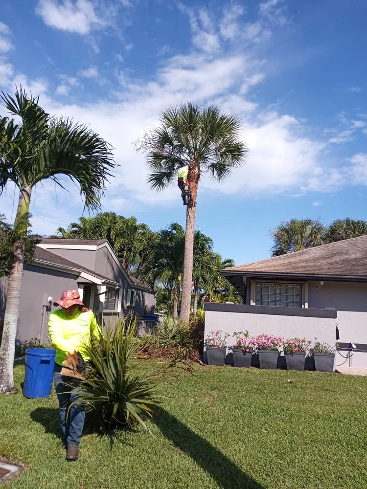 Top-rated landscaping services in West Palm Beach, FL by Ambassador Lawn & Landscape