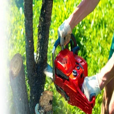 Amber & Stykemain Tree Service