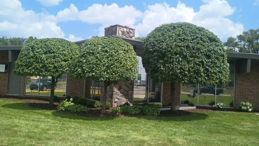 Top-rated lawn mowing service with custom design in Detroit, MI by Amber Lights Landscape And Design