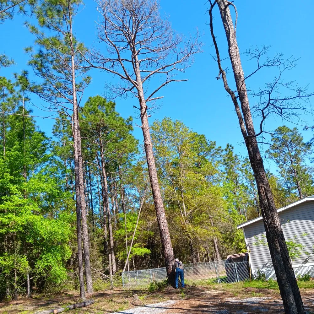 Custom garden landscaping for homes in DeFuniak Springs, FL by Amber's Outdoor Services and More