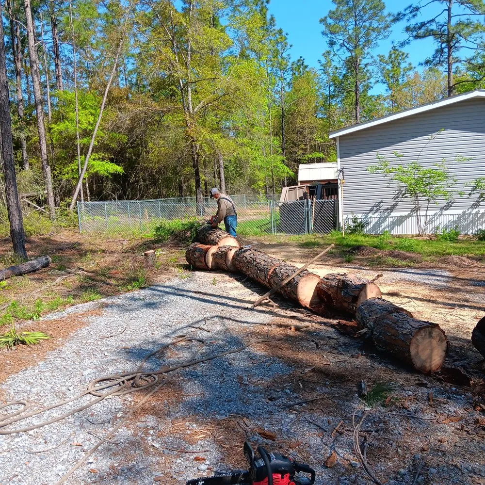 Affordable lawn care service in DeFuniak Springs, FL by Amber's Outdoor Services and More