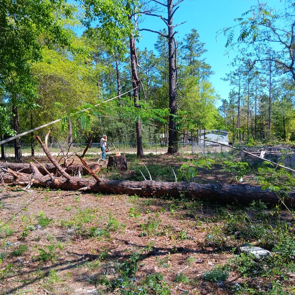 Top-rated outdoor landscaping near you across DeFuniak Springs, FL - Amber's Outdoor Services and More