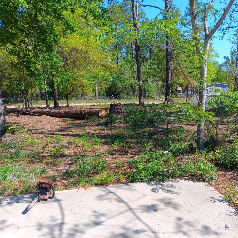 Custom yard maintenance in DeFuniak Springs, FL by Amber's Outdoor Services and More