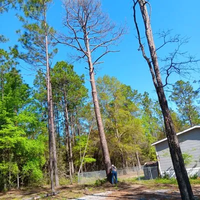 Amber's Outdoor Services and More