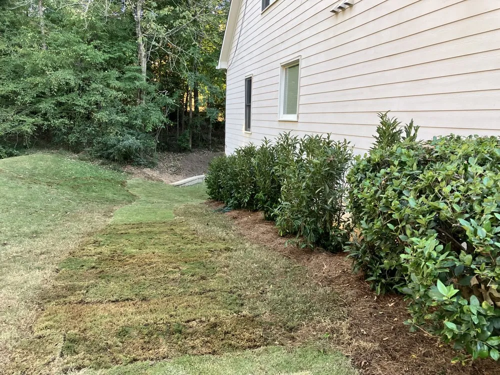 Top-rated landscape design experts serving Lawrenceville, GA - AmberView Landscaping