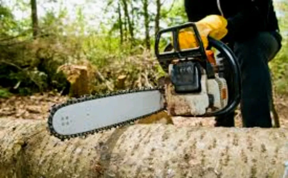 Top-rated yard maintenance experts serving West Bend, WI - Amberwaves Property Maintenance