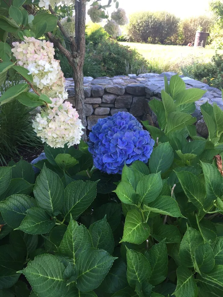 Reliable lawn care service for year-round maintenance in Arundel, ME by Ambidextrous