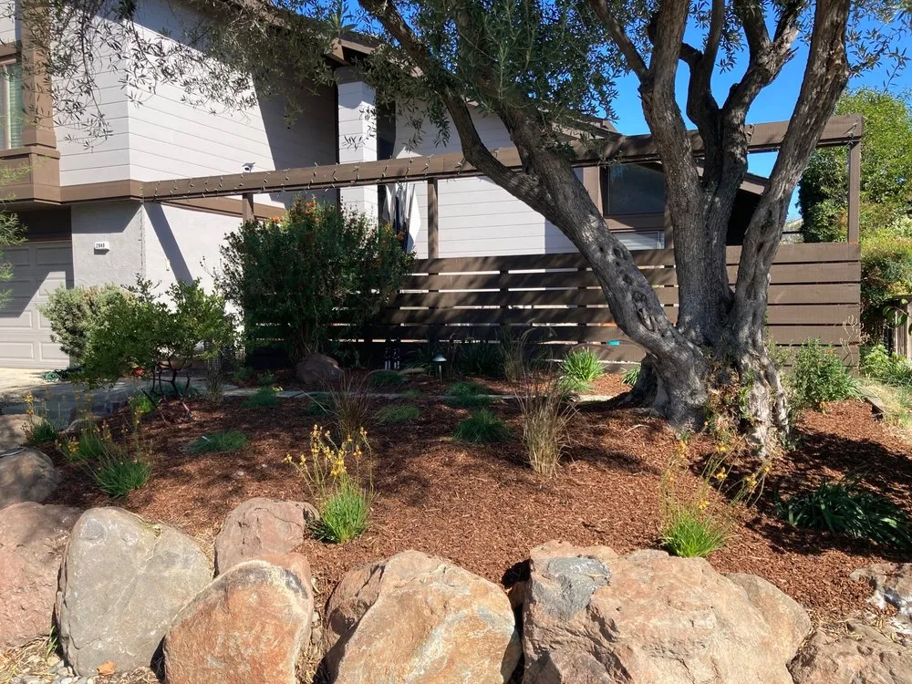 Expert yard maintenance with custom design in San Jose, CA by Ambience Garden Design