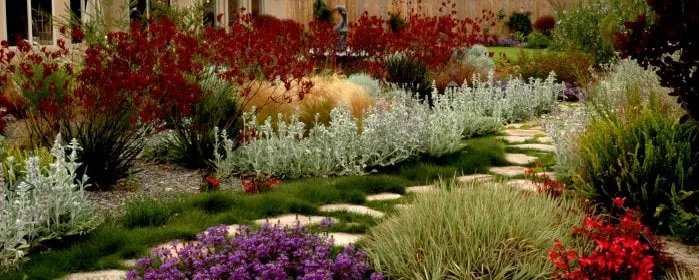 Top-rated landscaping services for outdoor upgrades across San Jose, CA - Ambience Garden Design