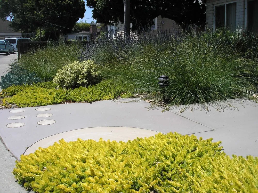 Expert residential landscaping for residential properties in San Jose, CA by Ambience Garden Design