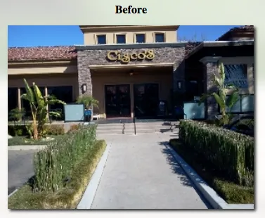 Professional lawn care service in West Lake, CA - Ambience Plantscape