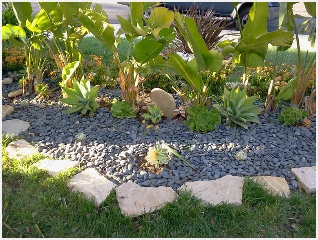 Professional yard cleanup service for residential properties in West Lake, CA by Ambience Plantscape