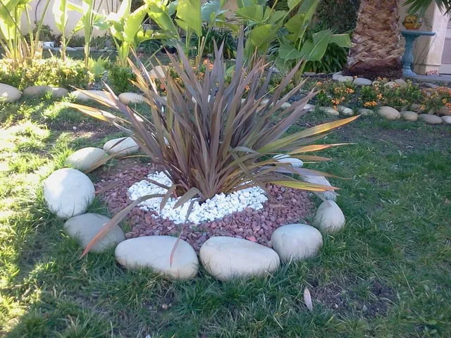 Top-rated landscaping services for homes across West Lake, CA - Ambience Plantscape