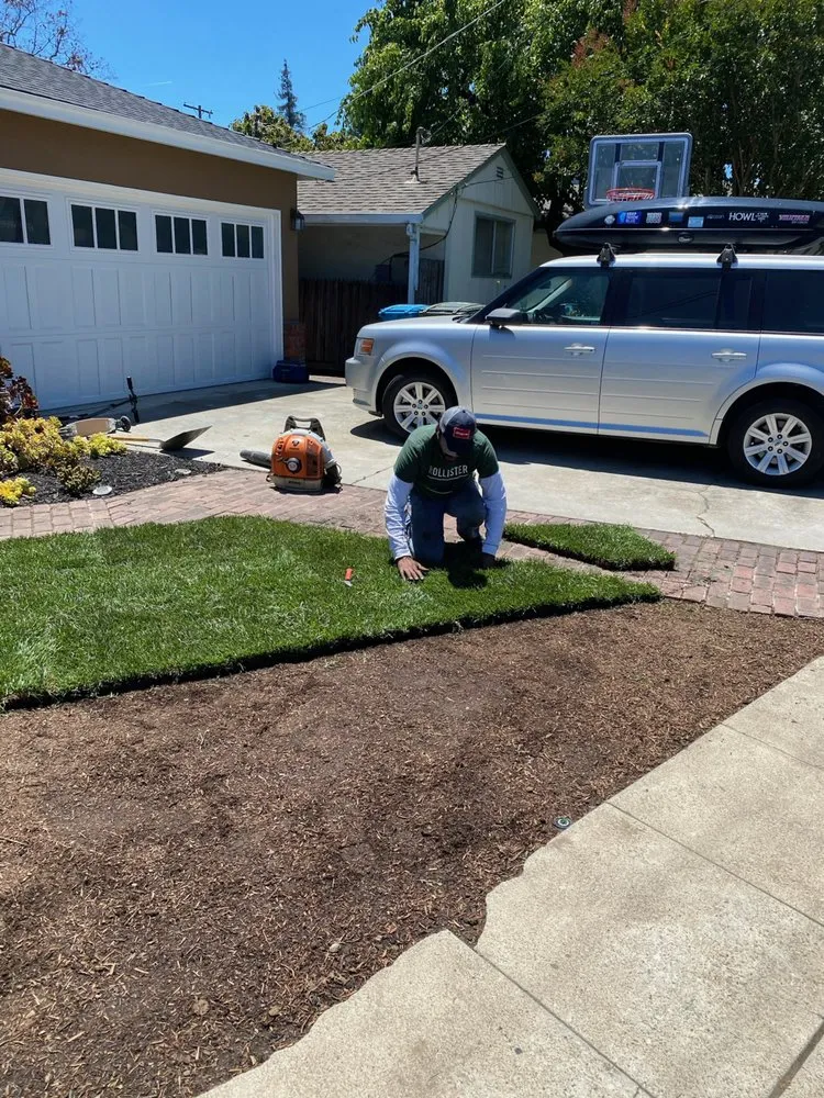 Reliable yard maintenance for beautiful yards across Sunnyvale, CA - Ambient Green Lawn