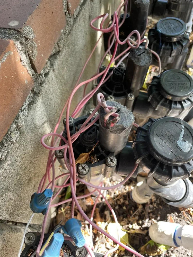 Local yard maintenance with custom design in Sunnyvale, CA by Ambient Green Lawn