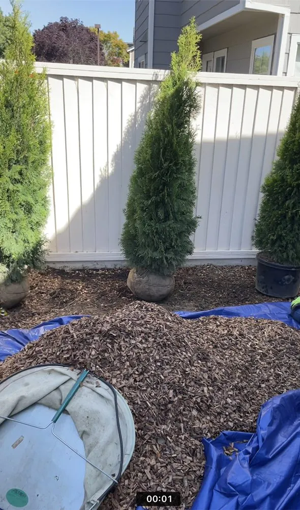 Top-rated residential landscaping near you in Sunnyvale, CA by Ambient Green Lawn