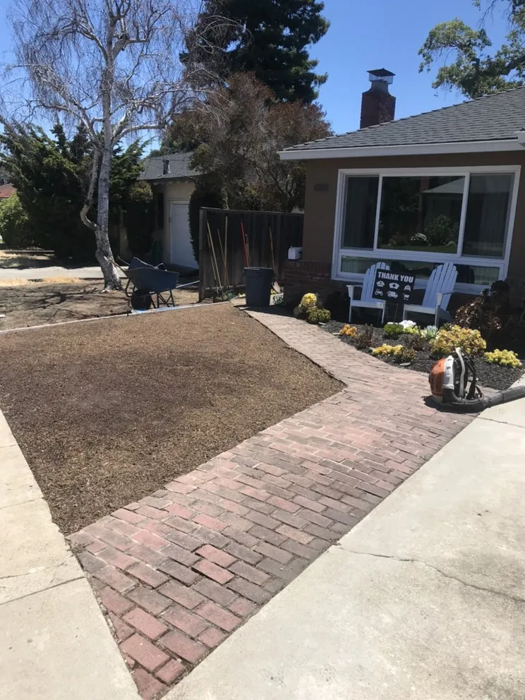 Custom landscaping services in Sunnyvale, CA - Ambient Green Lawn