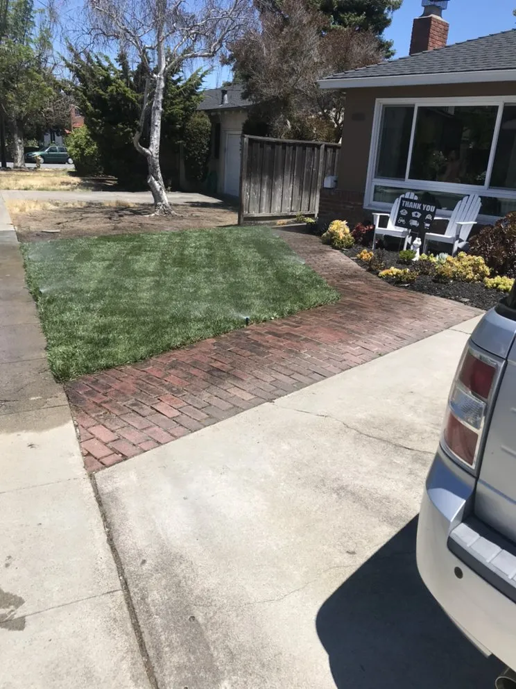 Expert yard maintenance experts serving Sunnyvale, CA - Ambient Green Lawn