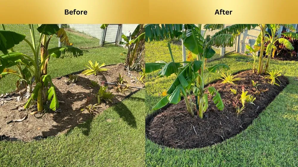 Affordable landscape design for beautiful yards across Fort Myers, FL - Ambient Lawncare