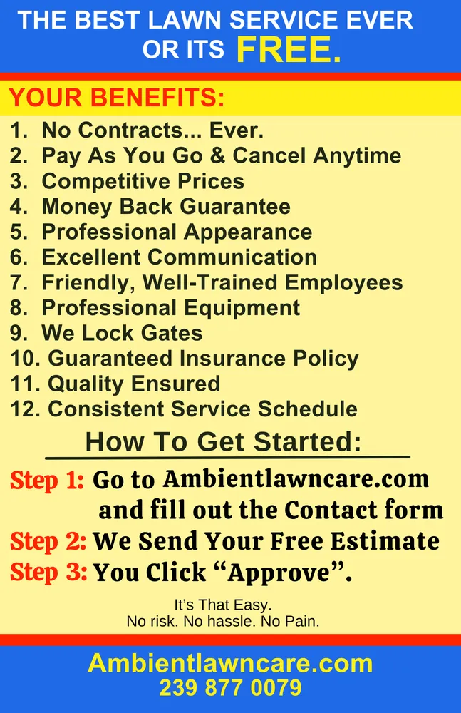 Reliable yard maintenance experts serving Fort Myers, FL - Ambient Lawncare