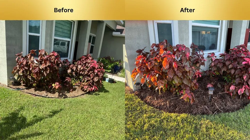 Top-rated yard cleanup service for residential properties in Fort Myers, FL by Ambient Lawncare