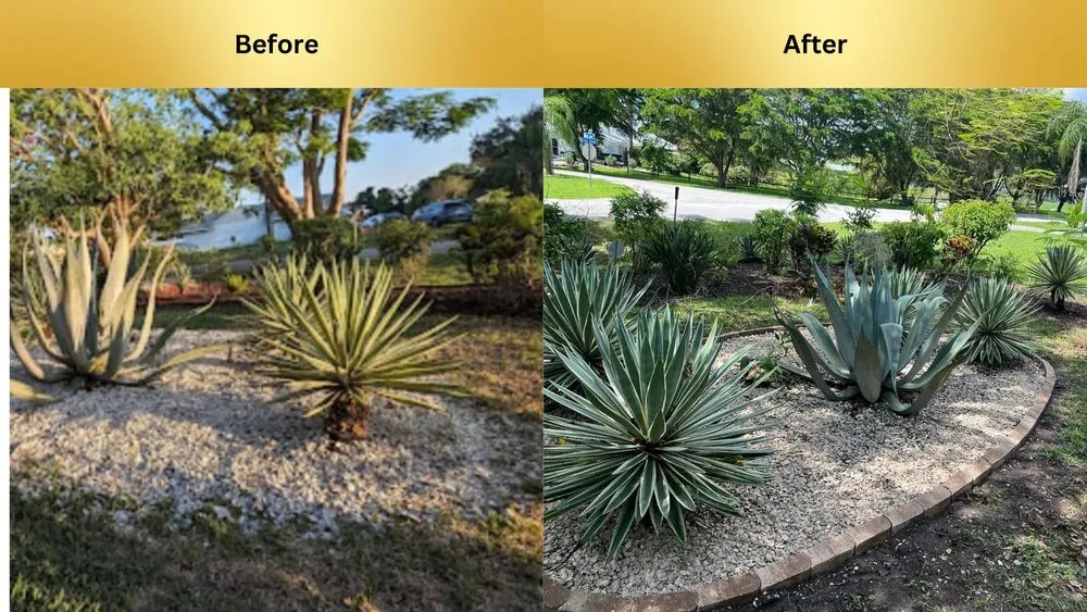 Affordable garden landscaping with custom design across Fort Myers, FL - Ambient Lawncare
