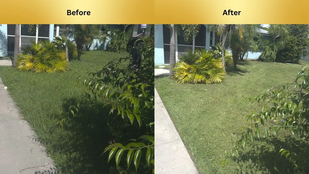 Reliable landscape design for outdoor upgrades in Fort Myers, FL by Ambient Lawncare