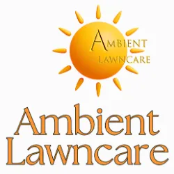Professional outdoor landscaping in Fort Myers, FL by Ambient Lawncare