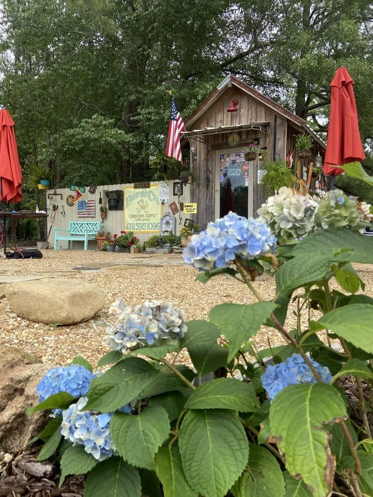 Reliable yard maintenance for year-round maintenance in Jacksonville, FL by Ambition Landscape