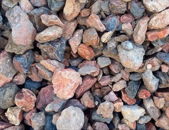 Local yard cleanup service for year-round maintenance across Jacksonville, FL - Ambition Landscape