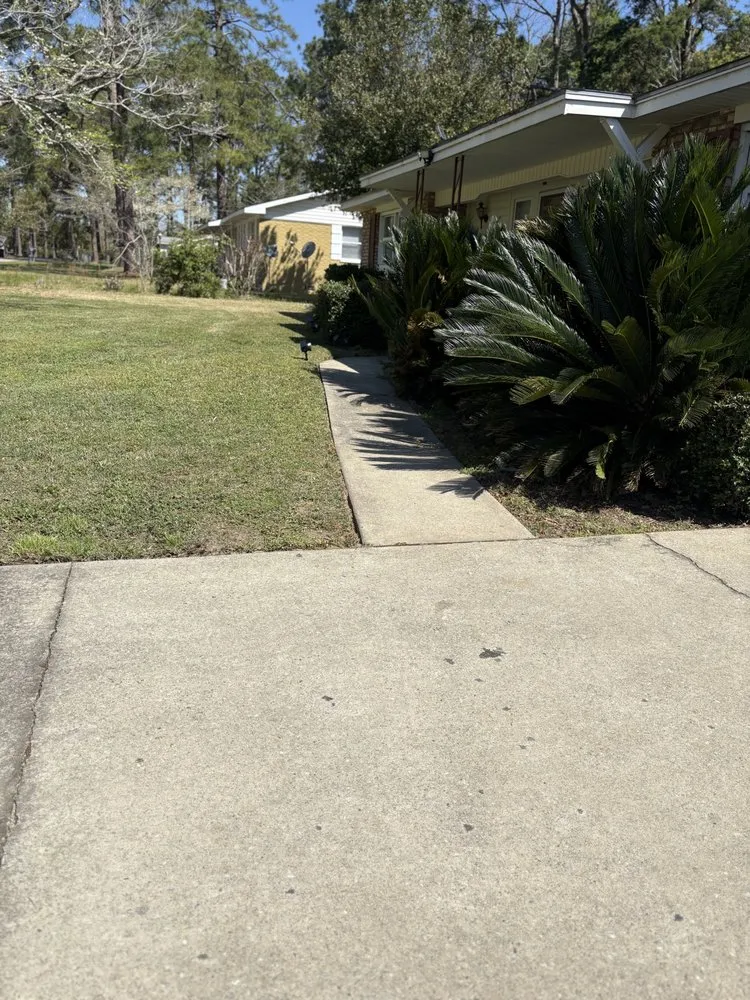 Reliable yard cleanup service experts serving Waycross, GA - Ambition Lawns
