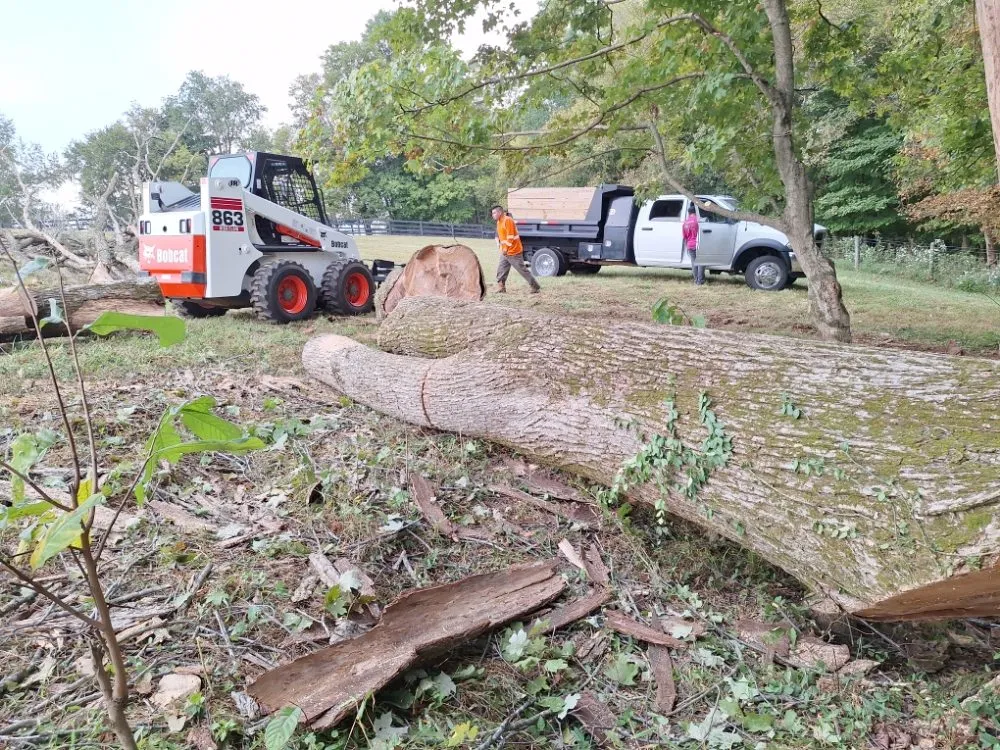 Top-rated outdoor landscaping in Shelbyville, KY - Ambition Tree Service And Landscaping